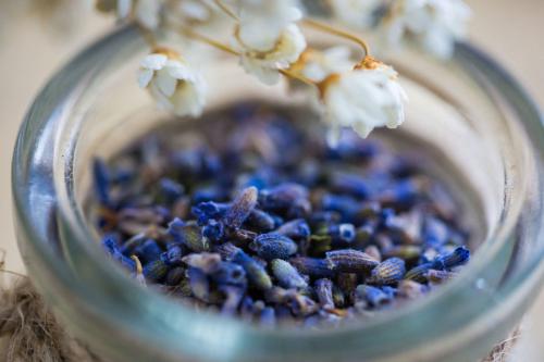 Dried Organic Lavender Flowers - Kate Naturals. Premium Grade. Perfect for Tea,Lemonade, Baking, Baths. Fresh Fragrance. Gluten-Free, Non-GMO 500g