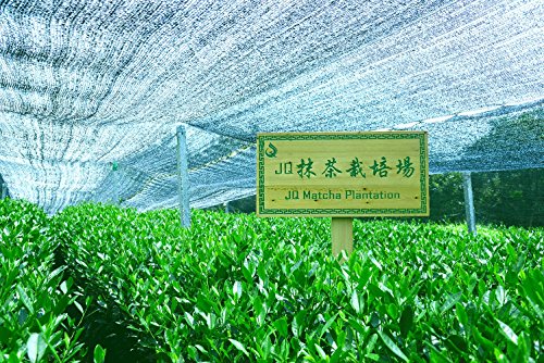 Matcha Green Tea Powder 3.5 OZ 100 g Basic Culinary Grade Organic macha Powder Mocha USDA Latte Baking Cooking